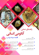 راهنمای عملی آناتومی انسانی توراکس قفسه سینه